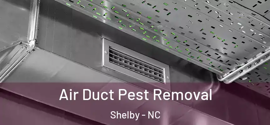  Air Duct Pest Removal Shelby - NC
