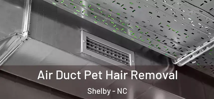  Air Duct Pet Hair Removal Shelby - NC