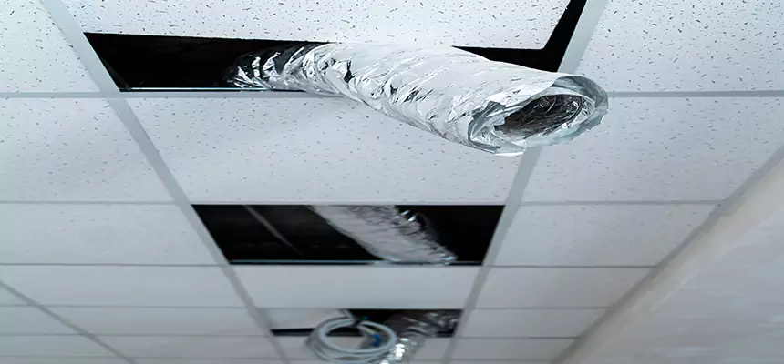 Affordable HVAC Sanitizing After Pest Removal in Shelby