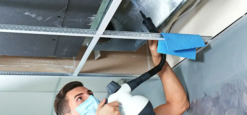 Our Air Duct Rodent Removal Services in Shelby, NC