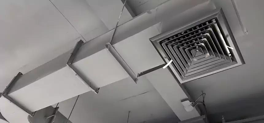 Restorative Allergy Relief Vent Cleaning – Coil, Blower & Housing Detail in Shelby