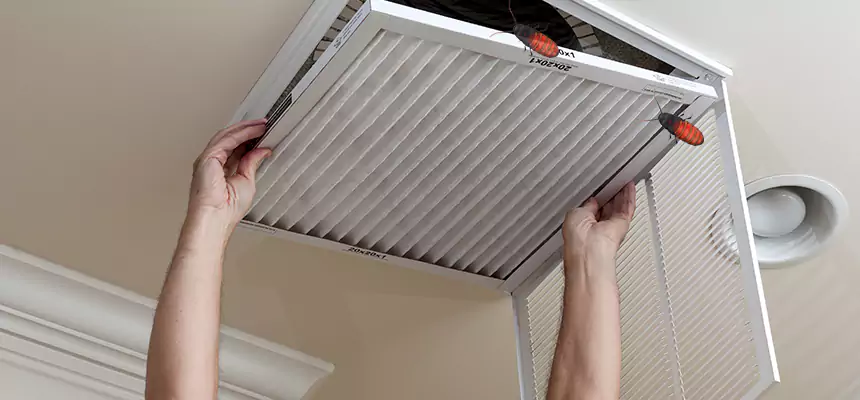 Our Insect Removal from Air Ducts Services in Shelby, NC