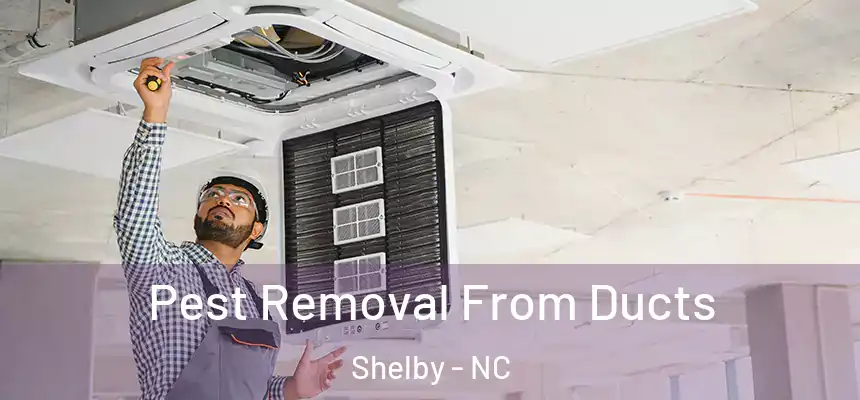  Pest Removal From Ducts Shelby - NC