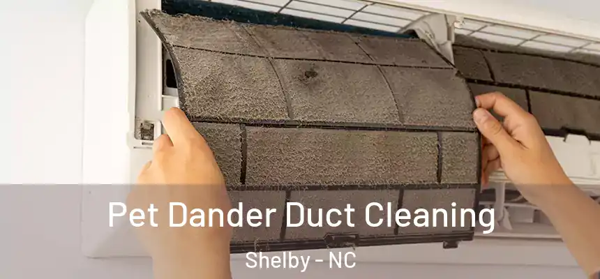  Pet Dander Duct Cleaning Shelby - NC