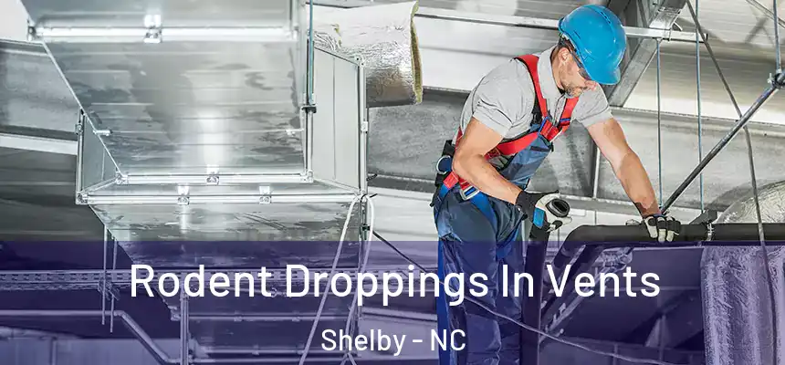  Rodent Droppings In Vents Shelby - NC
