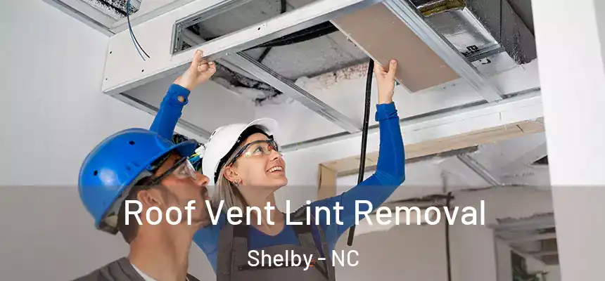  Roof Vent Lint Removal Shelby - NC